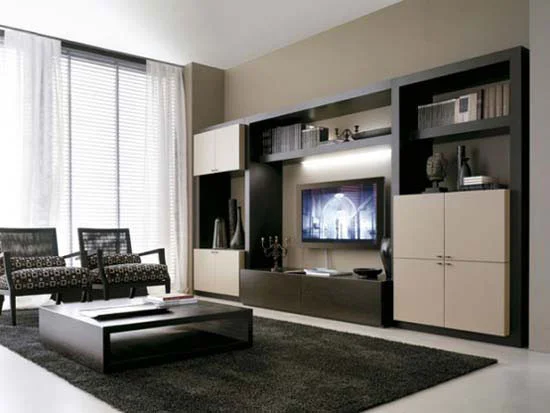 TV Cabinet Decoration