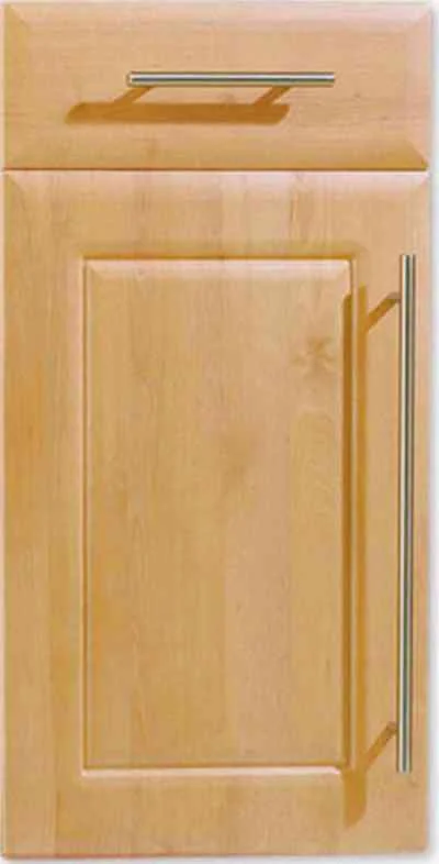 simple design door